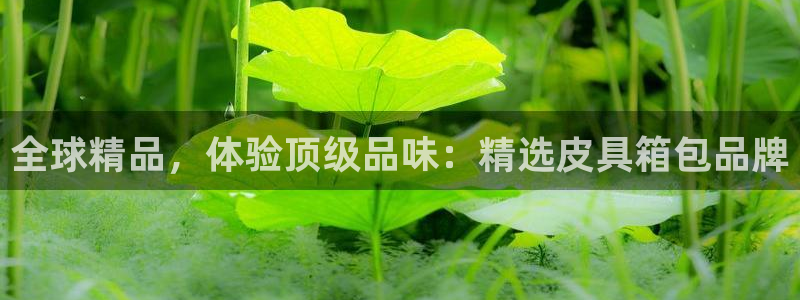 必一体育APP下载安装