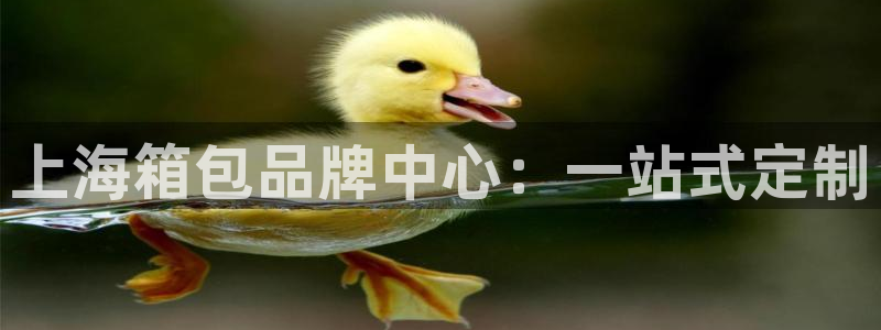必一运动体育app