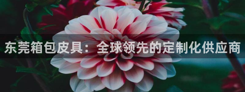 必一体育合法吗