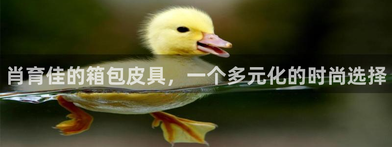 氵必一一厂一