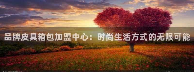 必一体育手机下载