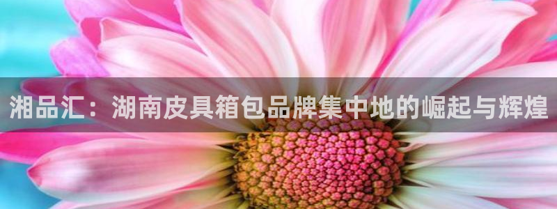 必一运动bsport体育app下载