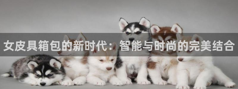 Bsport体育必一