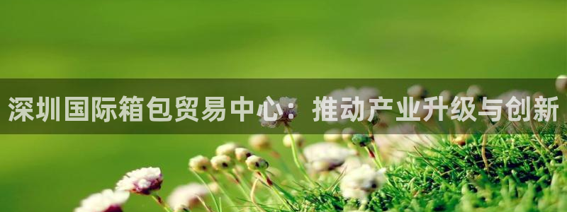 Bsport体育必一