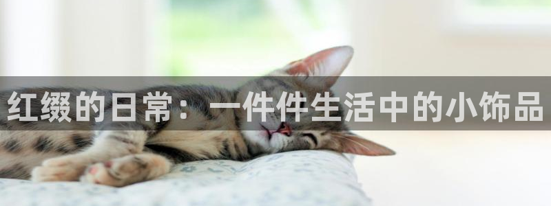 必一体育黑平台