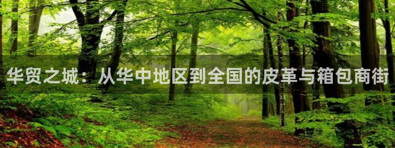 必一体育登入