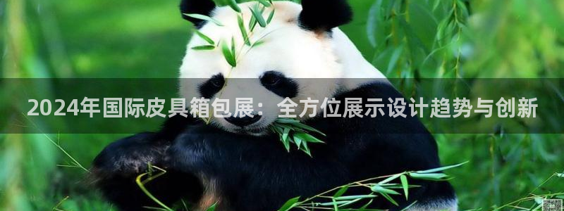 必一体育sport