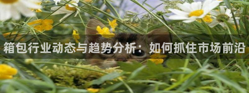 必一体育下载秀给网