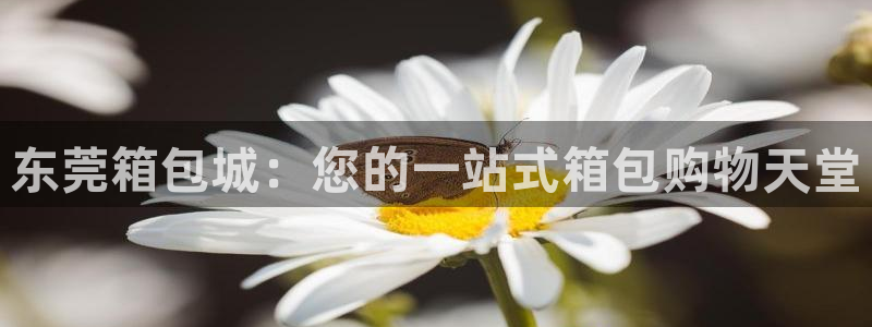 必一体育手机下载