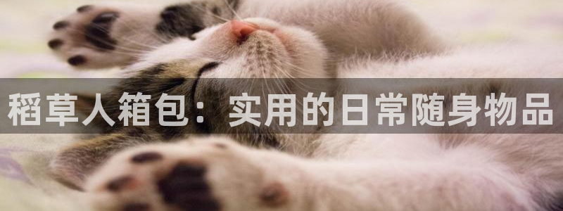 必一体育官方下载