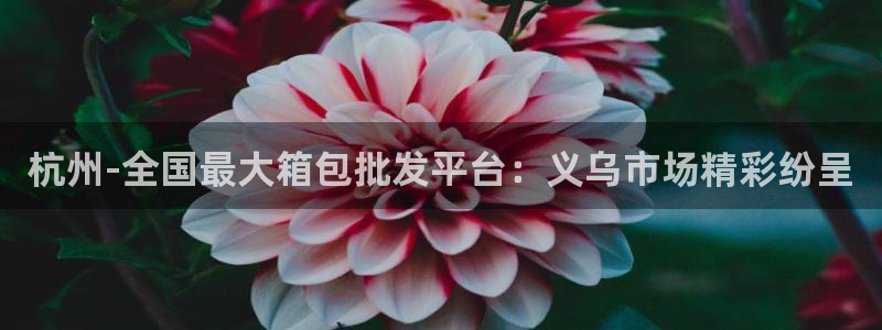 必一体育运动下载