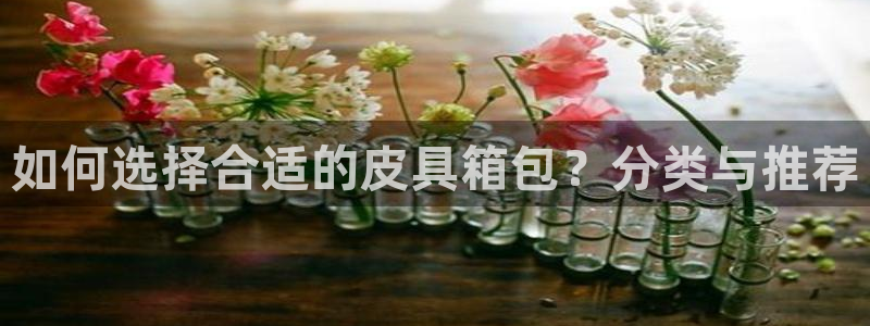 必一运动验证码