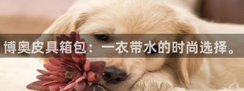 必一体育在哪下