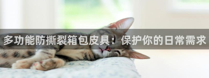 必一体育官方下载入口