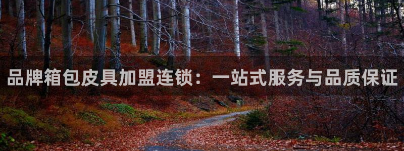 必一体育app官方下载入口
