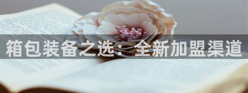 必一体育网页