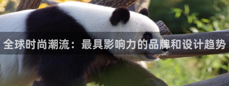必一体育没了