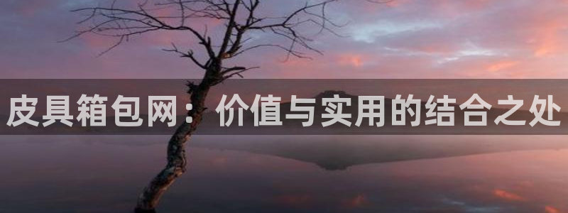 必一体育sport