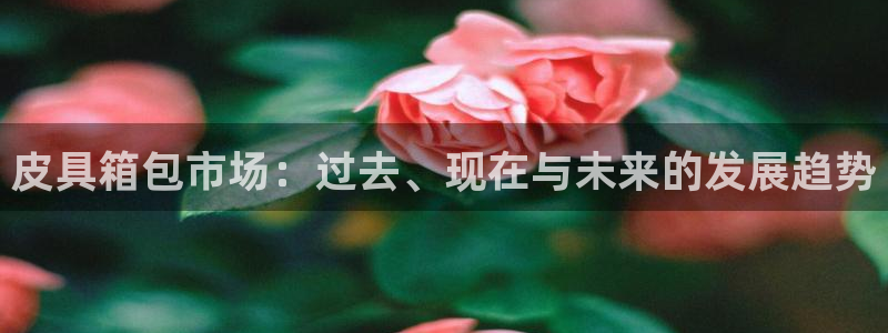 必一体育APP