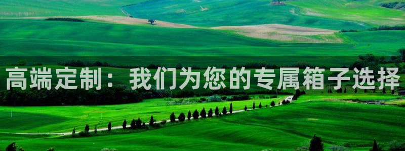 必一运动体育官网