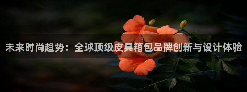 必一体育app下载