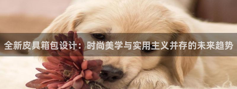 必一体育bsport2023-04-21