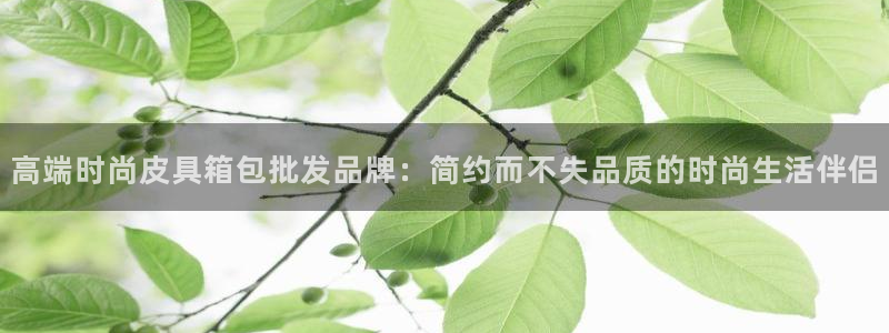 必一体育官方入口
