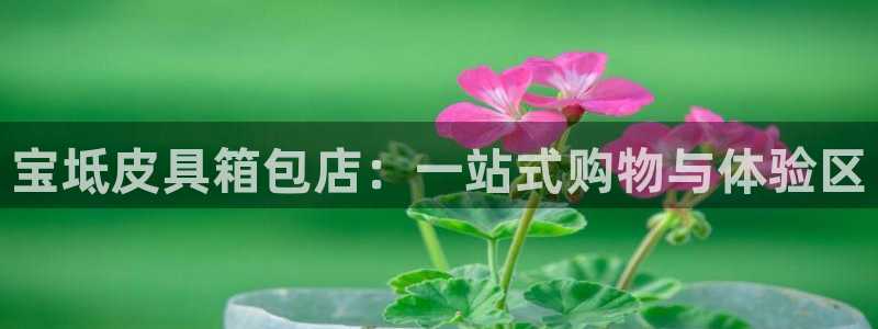 必一运动听的歌