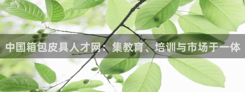 必一体育sport装机吧