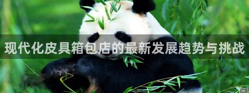 必一体育下载app下载