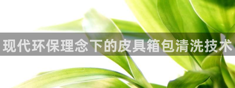必一体育bsport下载