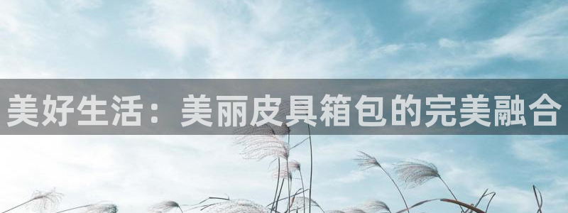 必一体育官方下载